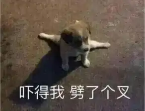  等了22年,小智终于夺冠了背后原因竟是宝可梦对玩家的妥协