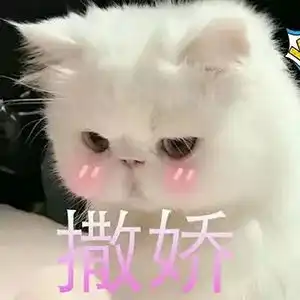 撒娇表情包图片ki