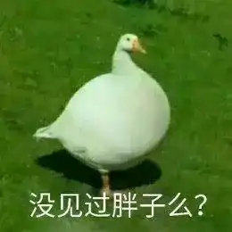  一直很多火的