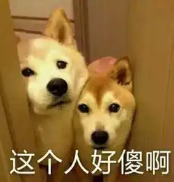 你他妈的在逗我表情包睡吧