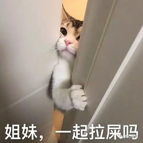 撒野表情包表情包