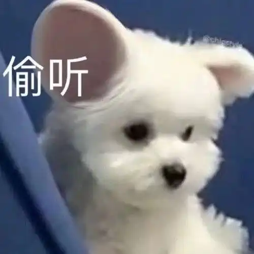  修士面试被问为什么的问题,如何高情商回答让教授连连点头