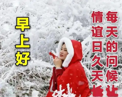 台风表情包动态gif天气