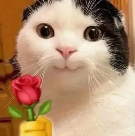  当给猫咪们都配上了手指后