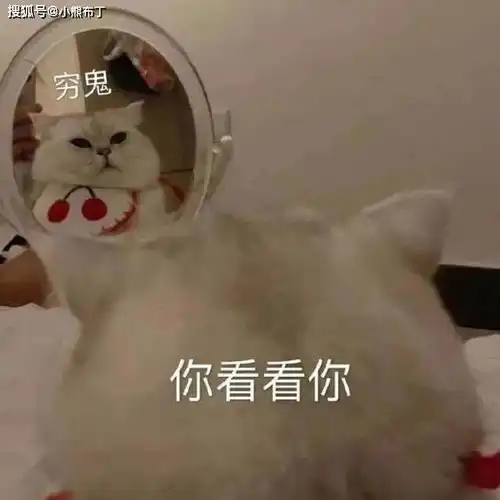  成都审计公司常见的公司审计有哪几种