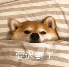  伸个懒腰太他妈冷了狗表情包狗生无可恋表情包图片下载乐游网游戏下载