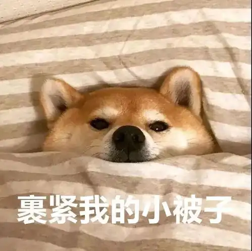  河北这里下雪了中秋还没过完,我们好像看到了冬天