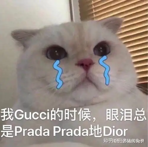  给我推荐点表情包吧各种都行