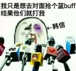 小艺输入法表情包意思五