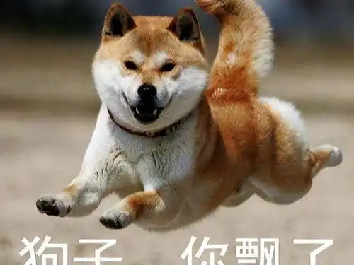  静静知道威非亲生却不支持许妈查真相,起作用的不是马大姐而是钱