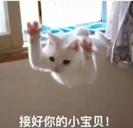  无语早起签到打卡分奖金这样的鸡汤竟然也是骗局