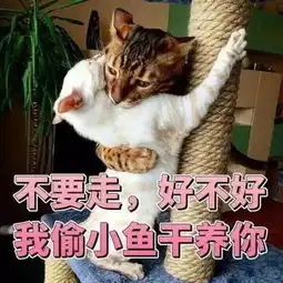  看完48岁胡兵和39岁陈冠希才明白,运动才是抗衰老的唯一方式
