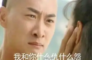 想你想你像我表情包尔康