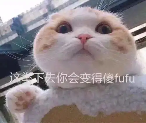  小仙女表情包用起来