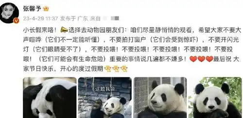  张馨予发博呼吁文明观察大熊猫配表情包祝大家节日快乐