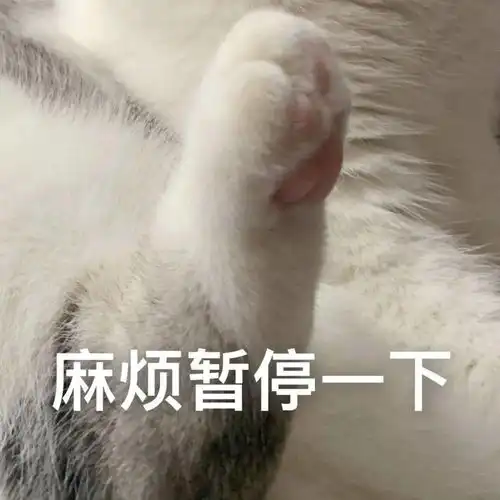  表情包大全谁还不是小天使了