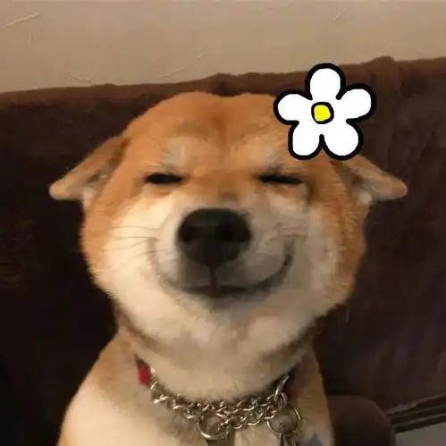  头像不来找我我也没办法说想你