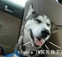 笑死我了的表情包哈士奇