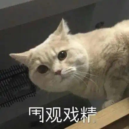  表情包可爱沙雕表情包