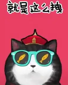  抖音我们喵星人是什么歌完整版歌词介绍