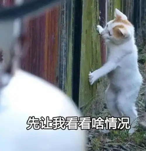 灭灭子表情包大佬