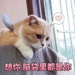  超萌的仙女撒娇表情包想你脑袋里都是你,怎么还不来抱抱我