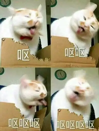 猫咪开心表情包吐舌