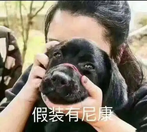  有哪些一看就笑的图片