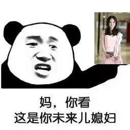  熊猫头表情包妈你看,这是你未来儿媳妇