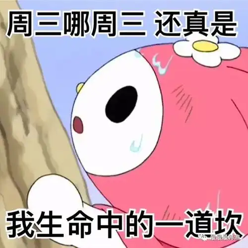 她们到底怎么了