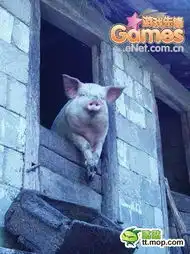  5月12日更新.你没见过的超囧超好笑截图截图贴猫狗版无鸡叫