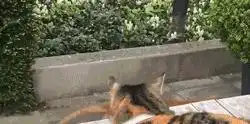 讨生活费表情包搞笑讨厌