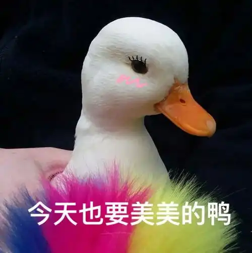  明人不说暗话,我很喜欢鸭