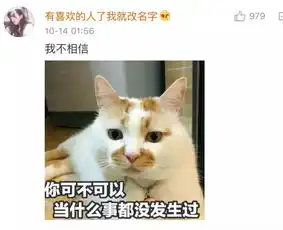 五彩星星表情包回复
