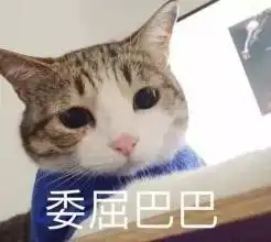 吃惊的表情包文案委屈