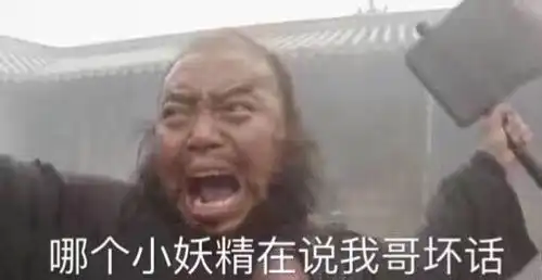  追星来劲儿,恋爱歇菜的星座
