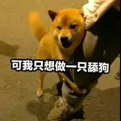  第49期汪表情丨今天不舔你一下,你都不知道什么叫变态
