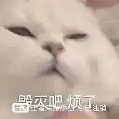  姐妹萌可以教教我怎么回骂仇女小吊子吗