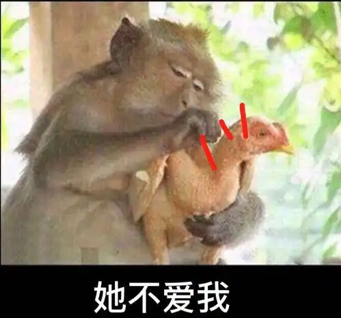  有没有室内设计的朋友