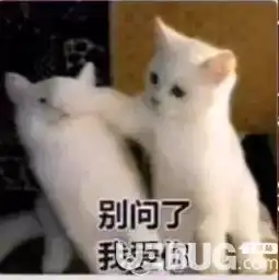  抖音叫媳妇叫老婆说爱我套图表情包分享