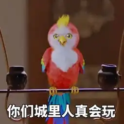  苍梧鸟带字图片表情包最新版电脑客户端版雷达下载