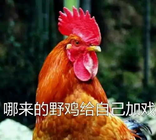  117搞笑创意内涵动漫重口味来一波表情包不定期更新