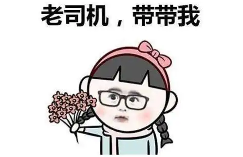  老司机不喜欢装的配置,完全就是摆设,只有新手司机才买单