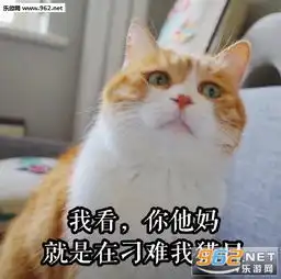  今天真开心骗自己的猫日表情包女人你在玩火丧猫表情包高清无水印下载乐游网游戏下载