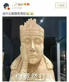  你竟然打我这张博物馆表情包,开启了春节斗图模式