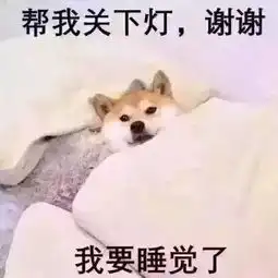  16岁表情包柴犬去世...网友永远活在我的微信中
