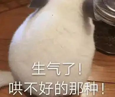  快过年了,约不到警察蜀黍,亲戚朋友们别介意喔