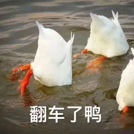  永远忘不掉的童年记忆,是舌尖上的板鸭味道