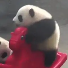  怎么快速入睡