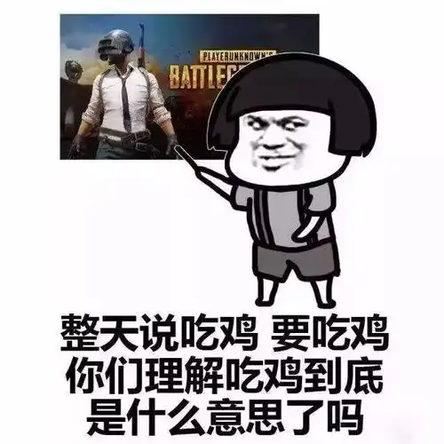 吃鸡游戏搞笑图片表情艾